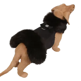 Big Bow Black Fox Fur Coat