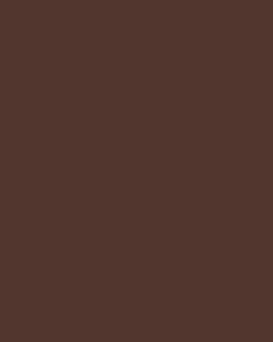 Chocolate Brown | Tech Chino Pants (Slim)