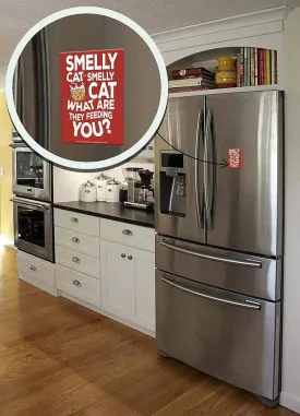 Friends Themed Smelly Cat Fridge Magnet