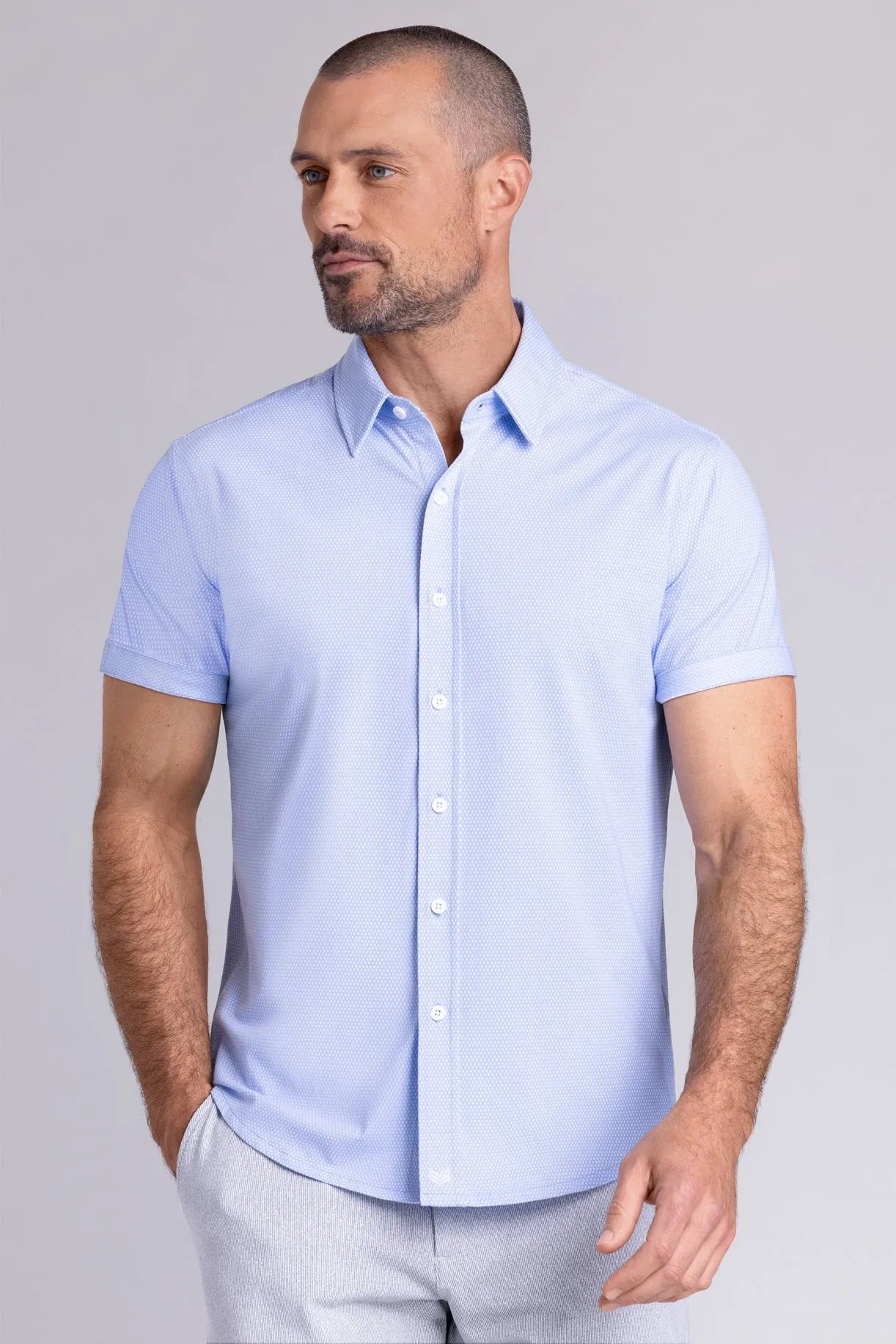 Gallant In Icy Cotton