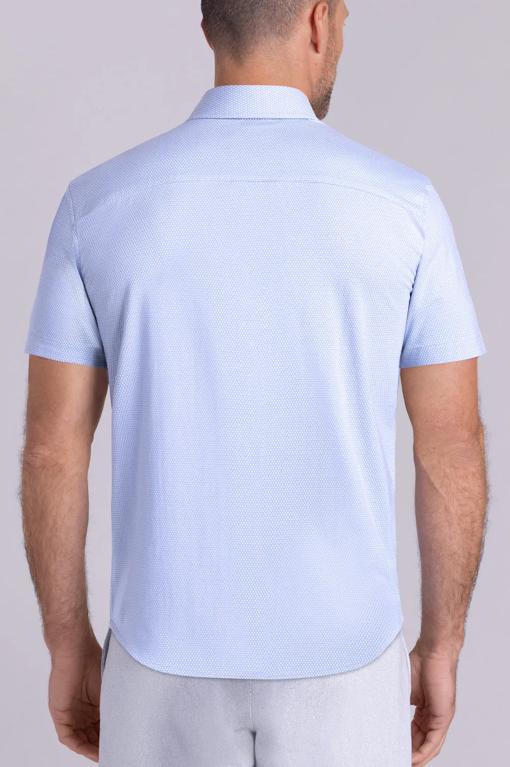 Gallant In Icy Cotton