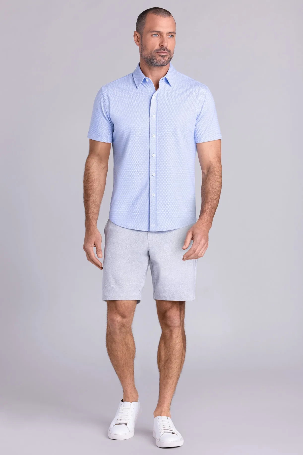 Gallant In Icy Cotton