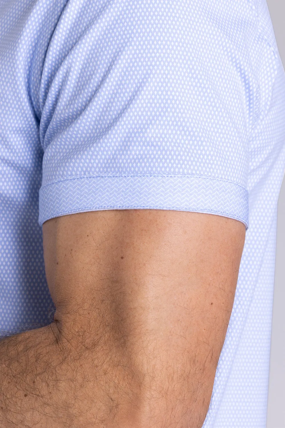 Gallant In Icy Cotton