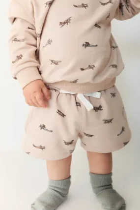 Organic Cotton Jalen Short - Avion Large Shell