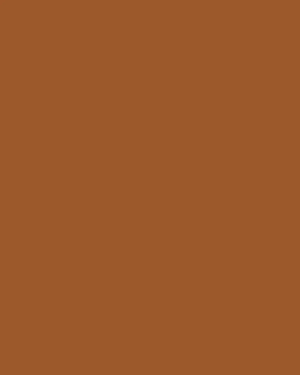 Rust | Tech Chino Pants (Slim)